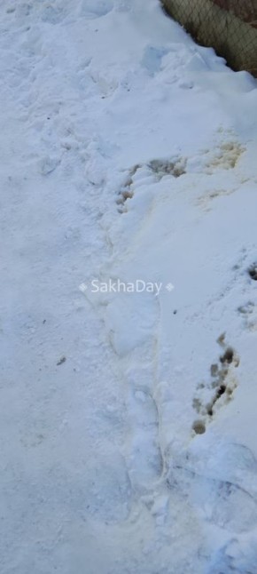 #����� ������� ���� �� ���������� 162/2 greenlion ����� ����� �� �����, ����� ��� ������ �������� ��� �� ���������� ������ ����� �� ������ �� �����