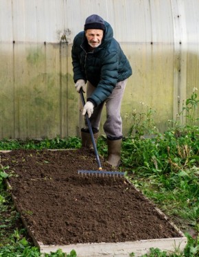 Как правильно спланировать грядки для успешного дачного сезона
