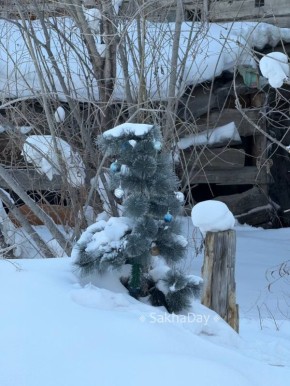Новогодний вайб еще сохранился на Халтурина