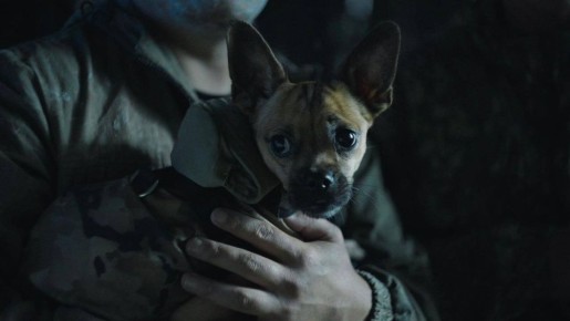 ������ �� ������� �����: ������� ��� ���� �� ������ ������������ ������