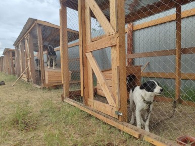 ��� ������ ������� ����� ��� ������������ �������� � �������