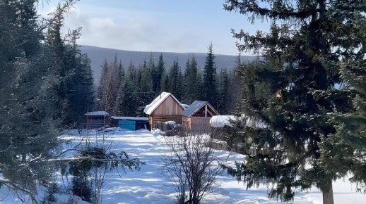 ������ � ���������� �����: ������� ������ �� 18 ����� � ������