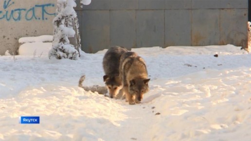 ����������� ������������ ������������� ���������� ������ ��������� ������ ��������� �������� �� �������� ��������� � ��������� ��� ���������� � �������� ������������� ������������� ������� � ��������� �������