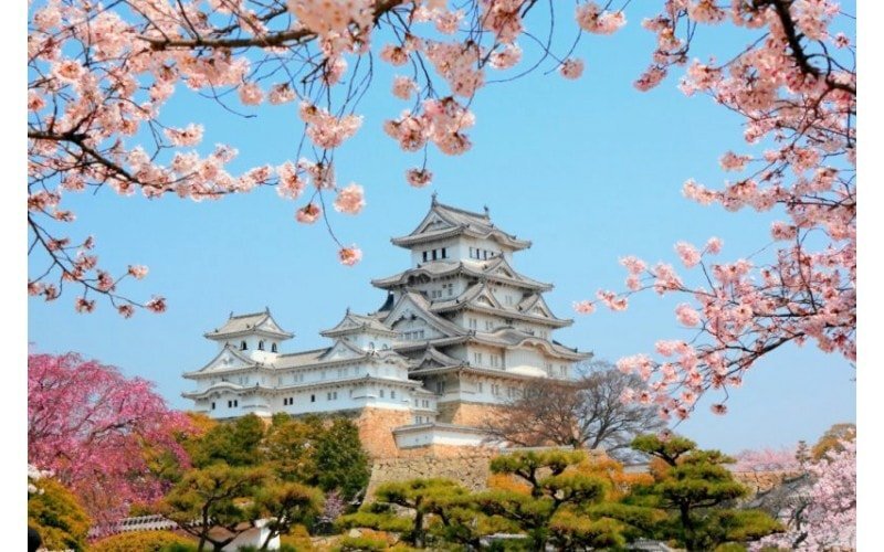 Как японские 3D фотообои могут преобразить ваш интерьер