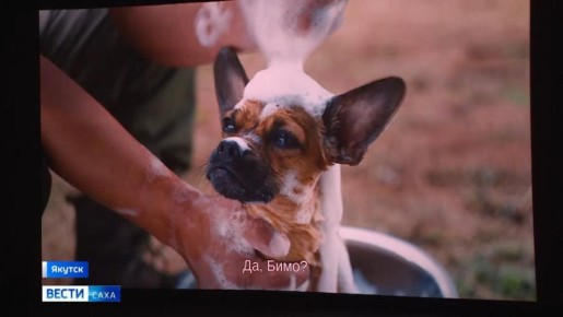 ����� "��� ������ ��������" � ������� ��� ������ ��������� ��������