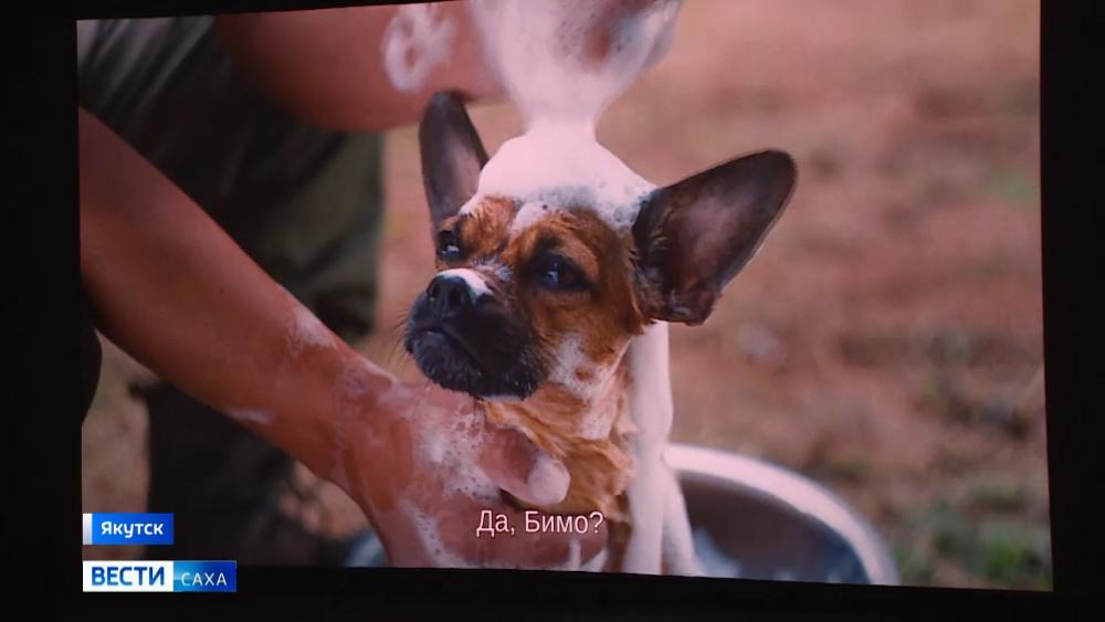 Фильм "Мои таёжные каникулы" с первого дня показа полюбился зрителям