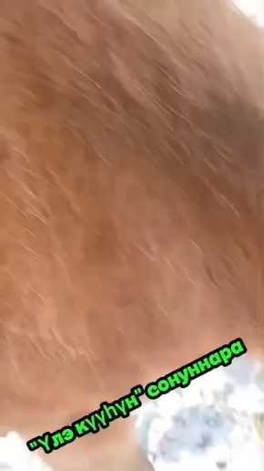 � ��������� ������� ������� ����� 14 ����� � ��������� �������� ���������� ������� ������ ��������!