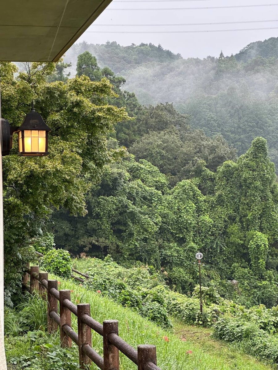 Удивительный ужин в лесном отеле с изысканной кухней