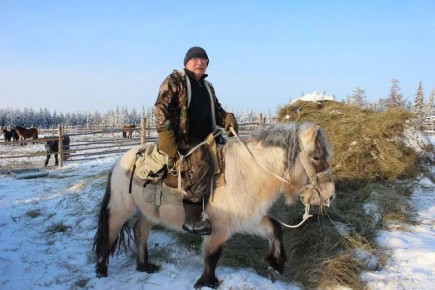 Сылгыыт кнэ: рдээн иитии – саха омук трт дьарыга уонна киэн туттуута