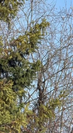 ������-�������. @tompovestnik