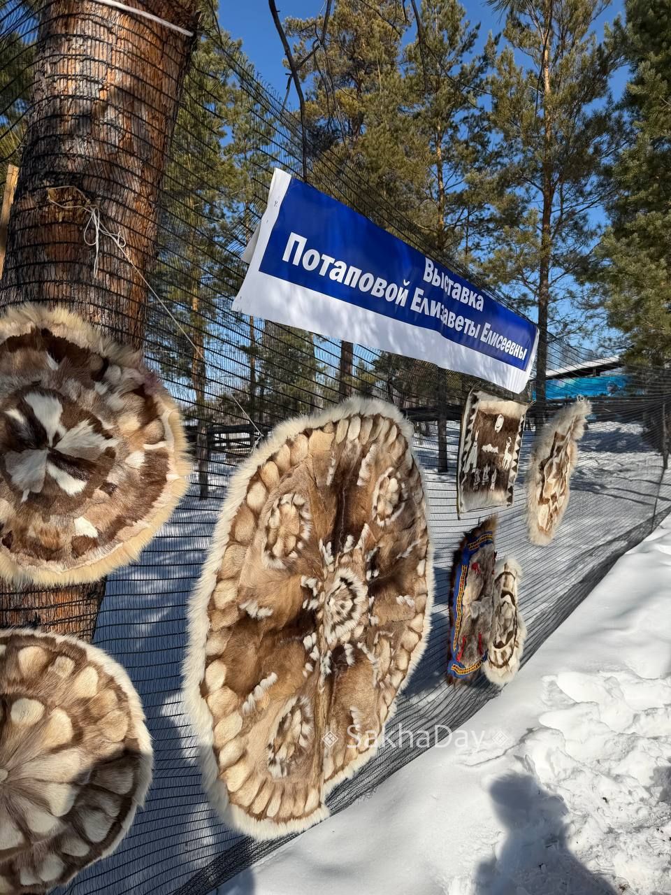 В Якутии сегодня проходит традиционный праздник «Священный мой олень», посвящённый одному из главных символов Севера В Якутии сегодня проходит традиционный праздник «Священный мой олень», посвящённый одному из главных символов Севера