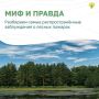 Миф или правда: что важно знать о лесных пожарах?