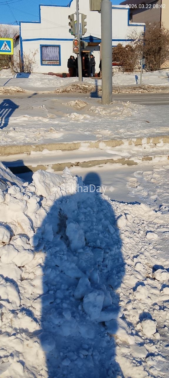 #пишут Бар green lion на Лермонтова 162/2 после облавы походу ещё больше клиентов стало, внутри не помещаются