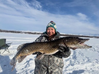 ���� ����� ����� ���������