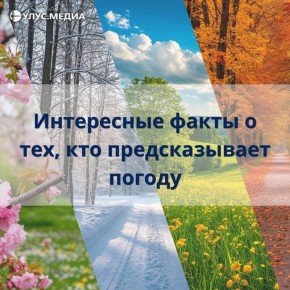 Интересные факты о тех, кто предсказывает погоду