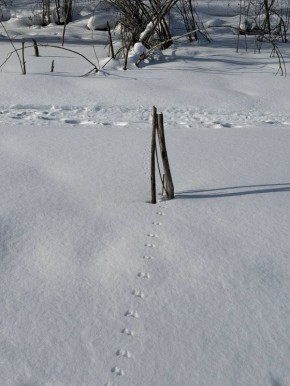 Утро понедельника. Все спешат по делам