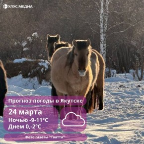 ���� � ����� 20 �/�: ������ ������ �� ������� ������ �� ��������� �����