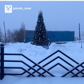 В Чернышевском забыли убрать новогоднюю елку