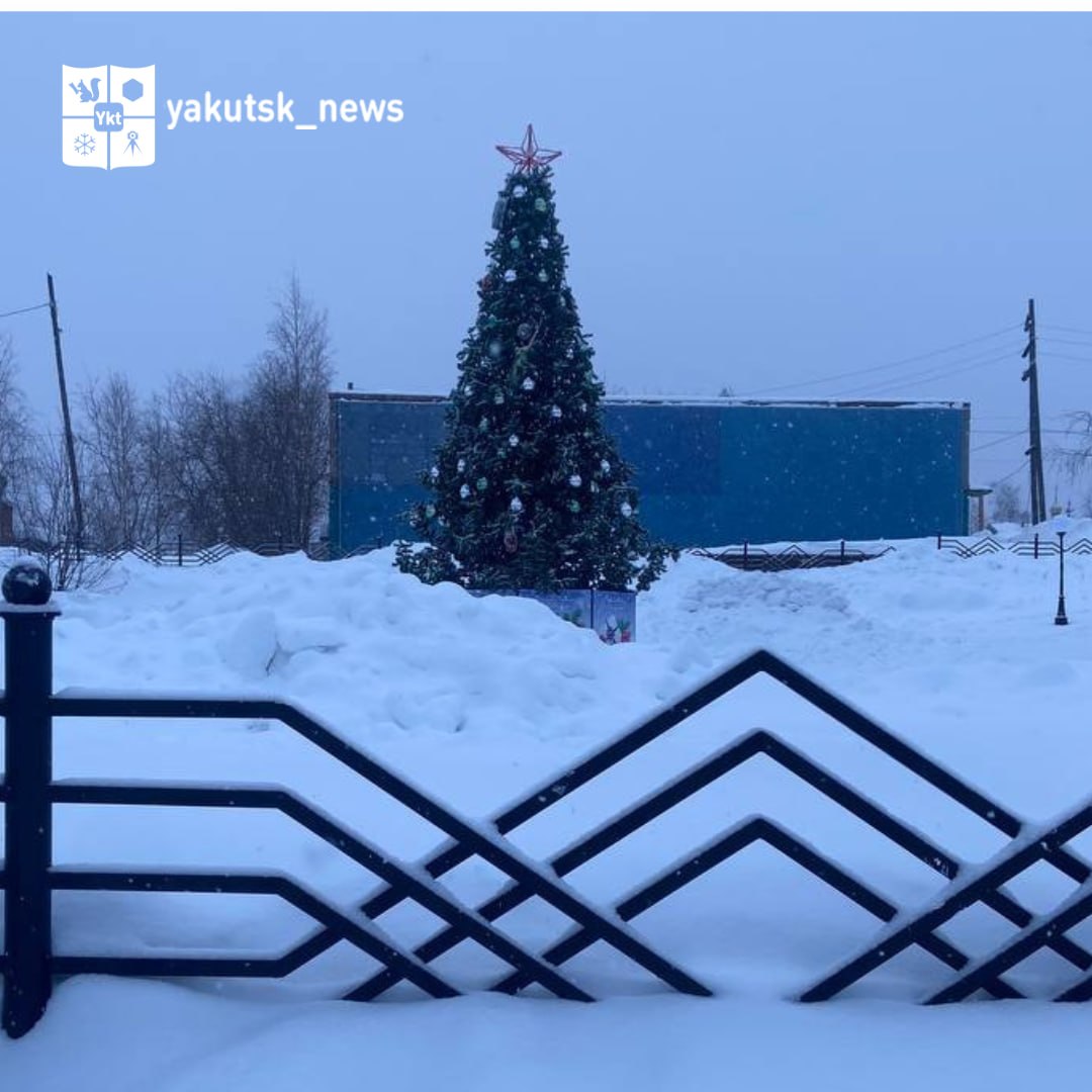 В Чернышевском забыли убрать новогоднюю елку