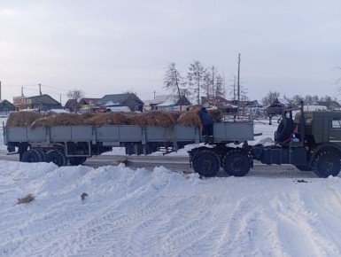 � ��������������� ����� ������������ ����� ����, ������� � ����