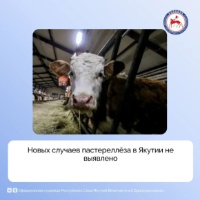 23 ����� ��� �������� �������� ����������� �� ���������� ����� ����������� � ����� �� ������ ��������� ��������