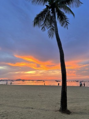 � ������ ������������ ��������� ���� � ������������� � �������������� ��������