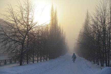 ������ ���� ��������� �� ���-������ ������