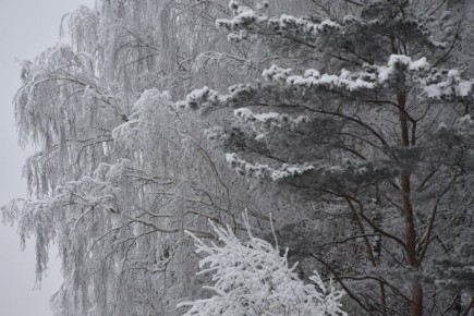 � ��������� ������ ��������� ������� ���� � �����