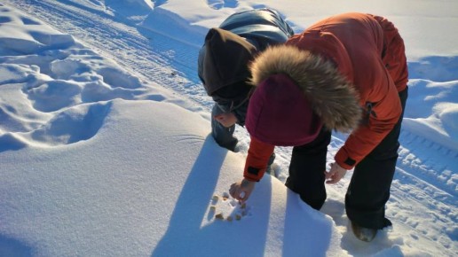 �������� �������� ��������� ����������� ������� � ���� �����, � ����� ������������ � ���������� ������� � ���� ����