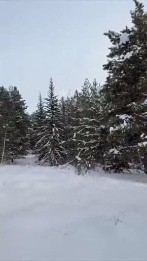 #�����. �� ����� ������� � ������ �� 400��