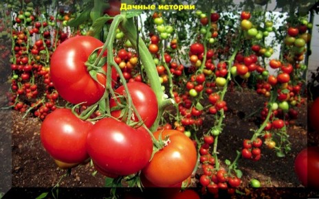 �������� ������: ��� �������� ������� ������ ���� �����