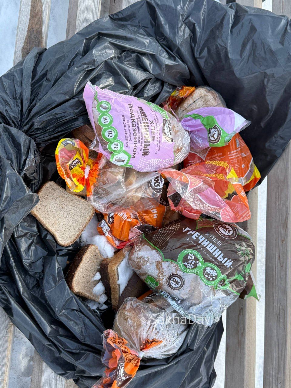 #пишут Необычная находка на остановке Кольцевая Вилюйский тракт