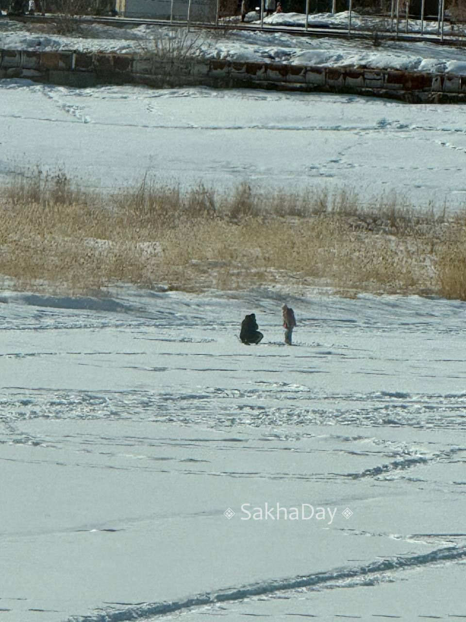 Полный дзен. То, чего не хватает всем нам Полный дзен. То, чего не хватает всем нам