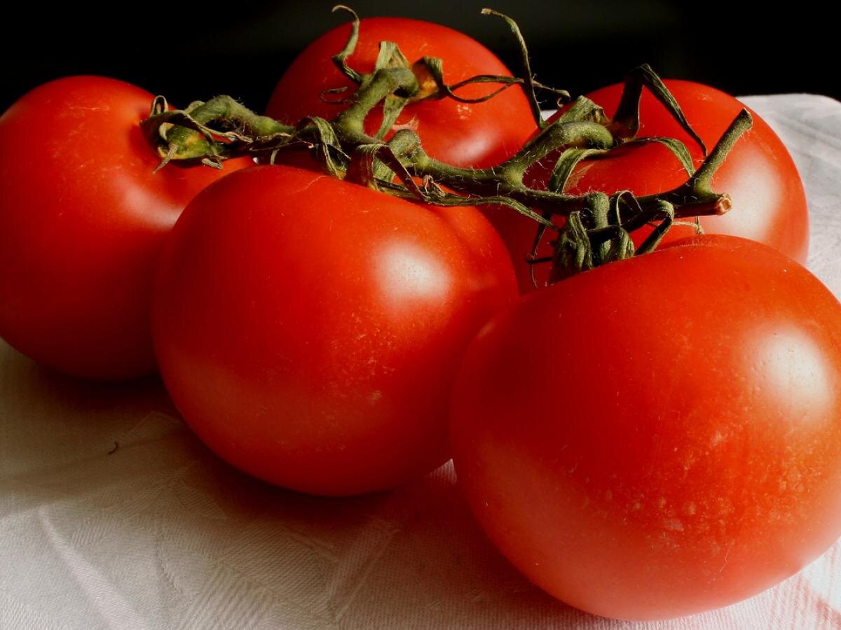 Как вырастить идеальные помидоры на подоконнике: секреты успешного ухода