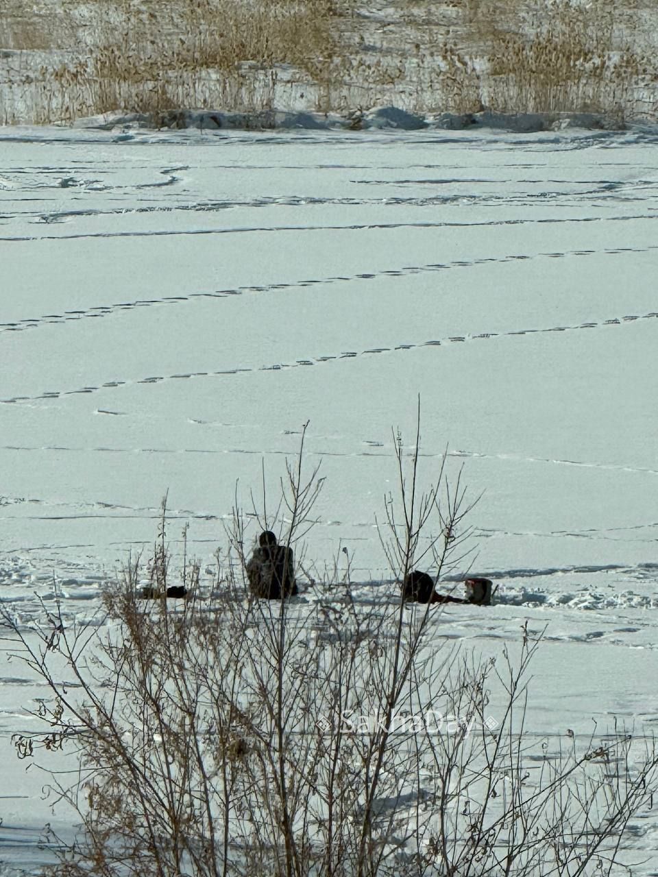 Полный дзен. То, чего не хватает всем нам Полный дзен. То, чего не хватает всем нам