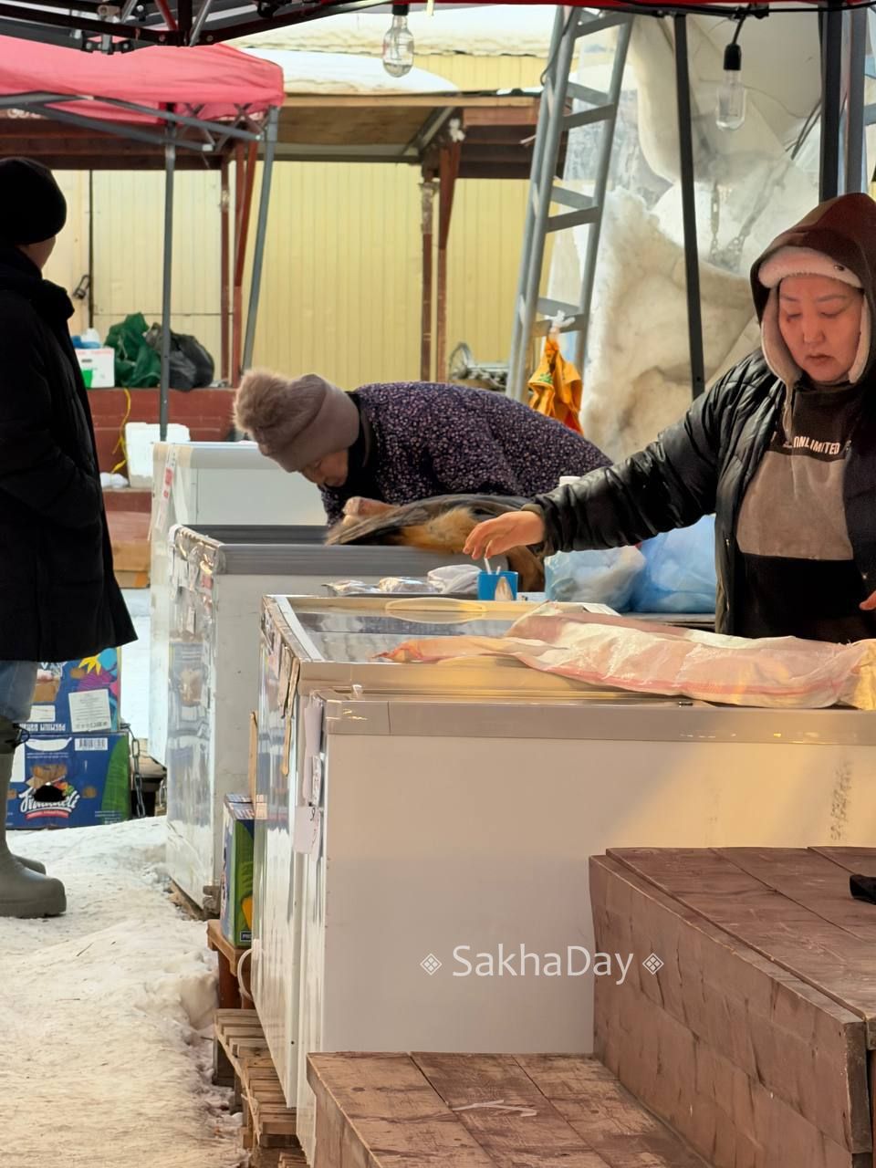 Торговцы поставили морозильники Торговцы поставили морозильники
