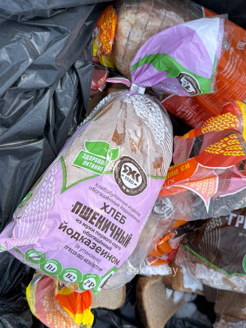 #пишут Необычная находка на остановке Кольцевая Вилюйский тракт #пишут Необычная находка на остановке Кольцевая Вилюйский тракт