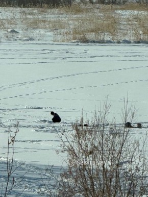 Полный дзен. То, чего не хватает всем нам