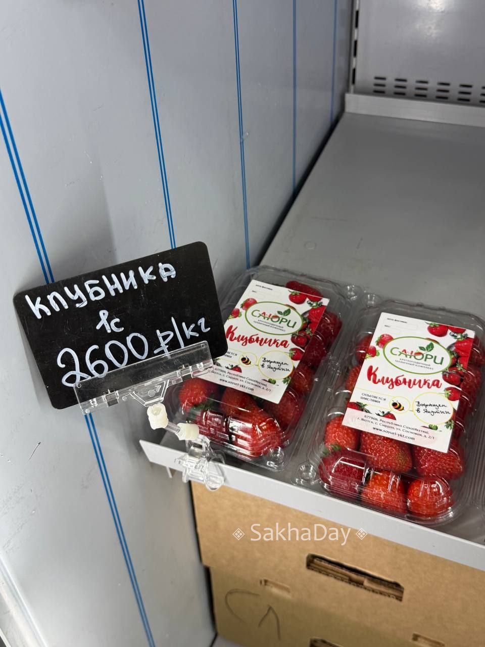 Якутская клубника, опыляемая шмелями, за 2000 за кг. #дляsakhaday