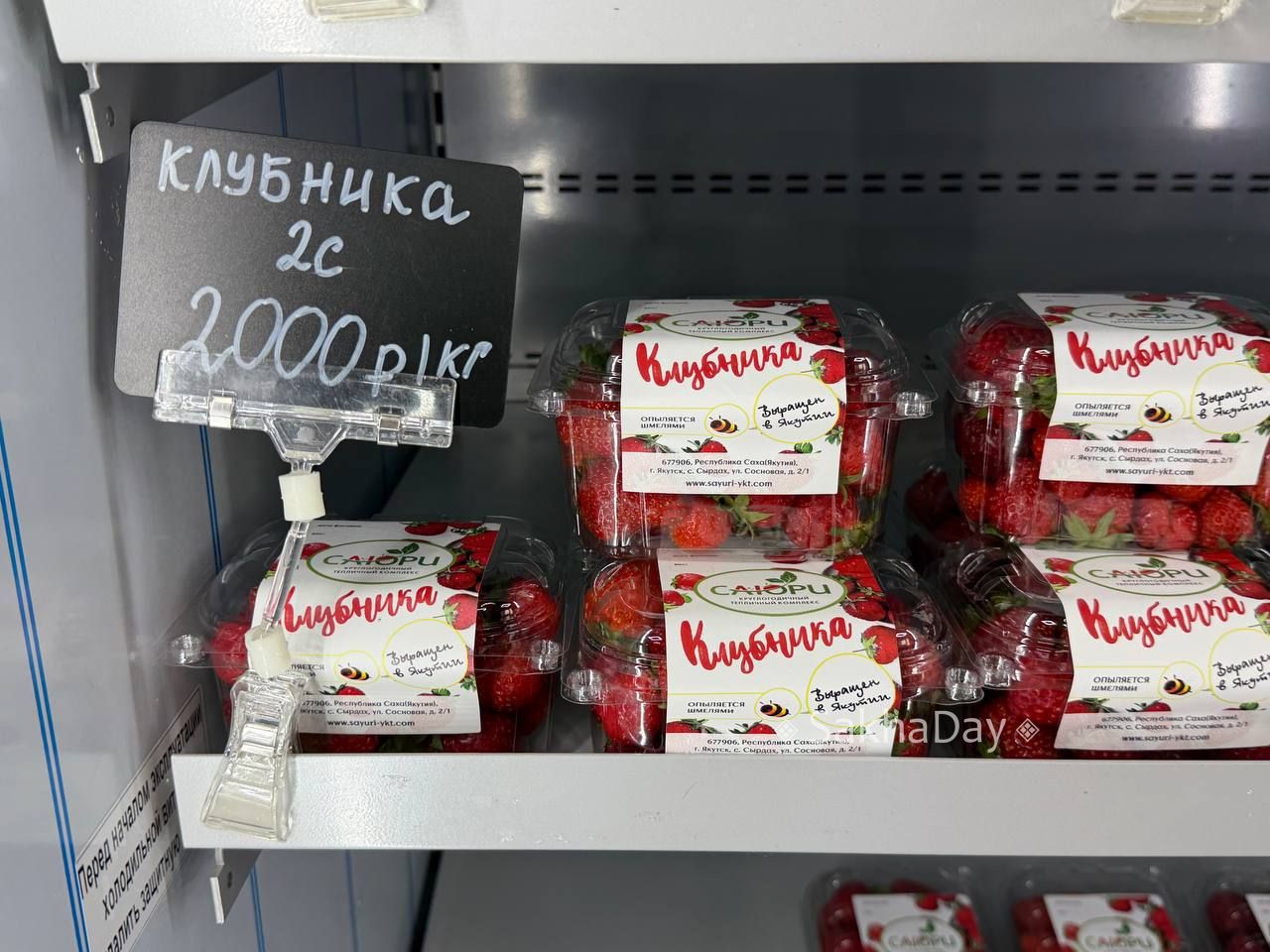 Якутская клубника, опыляемая шмелями, за 2000 за кг. #дляsakhaday Якутская клубника, опыляемая шмелями, за 2000 за кг. #дляsakhaday