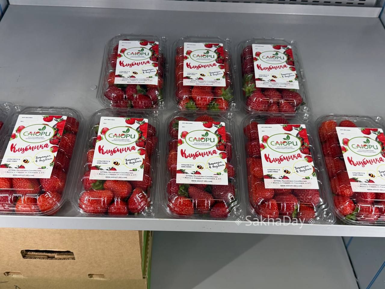 Якутская клубника, опыляемая шмелями, за 2000 за кг. #дляsakhaday Якутская клубника, опыляемая шмелями, за 2000 за кг. #дляsakhaday