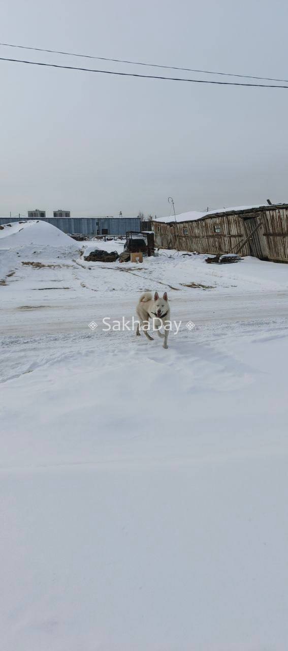 Потеряшка. Базовый переулок Потеряшка. Базовый переулок