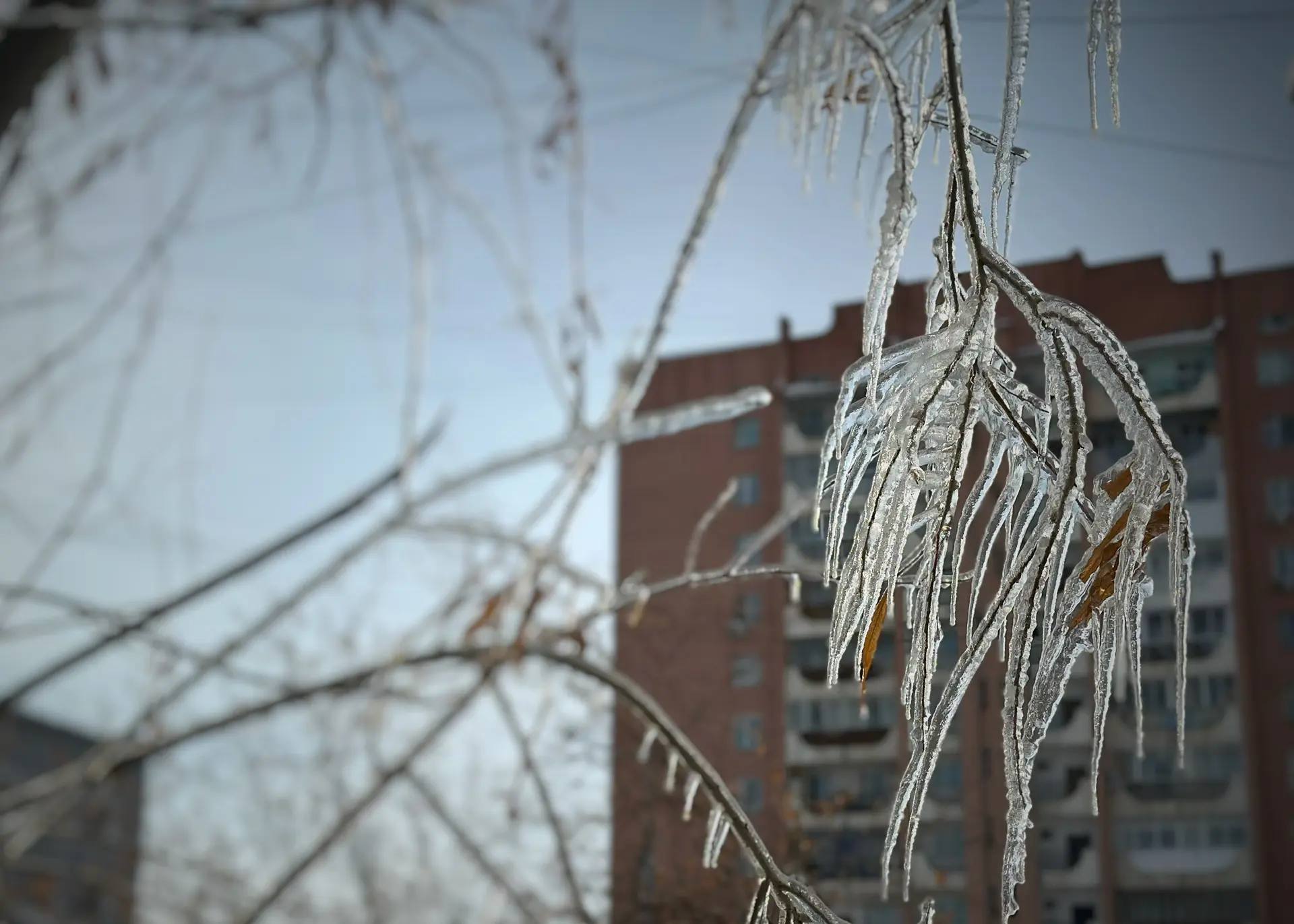 Тускул: первый дождь ожидается в марте