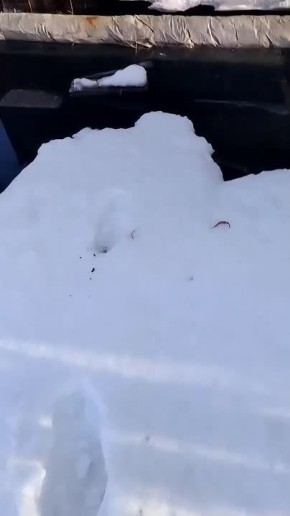 ����������� ��� ������������� �� ������ ������ ���������� ���������� ������ �� ����������� ����������� ���������������� ������������ �����