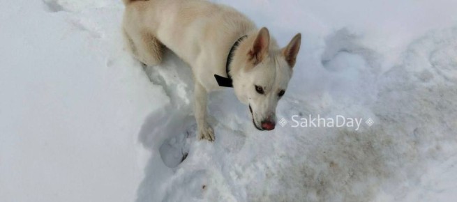 ���������. ������� ��������