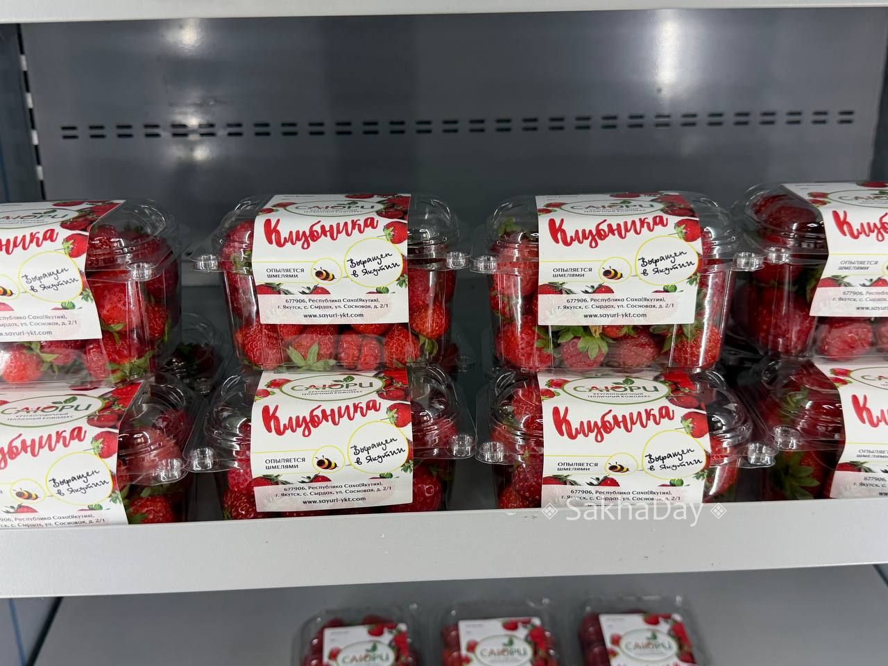 Якутская клубника, опыляемая шмелями, за 2000 за кг. #дляsakhaday Якутская клубника, опыляемая шмелями, за 2000 за кг. #дляsakhaday