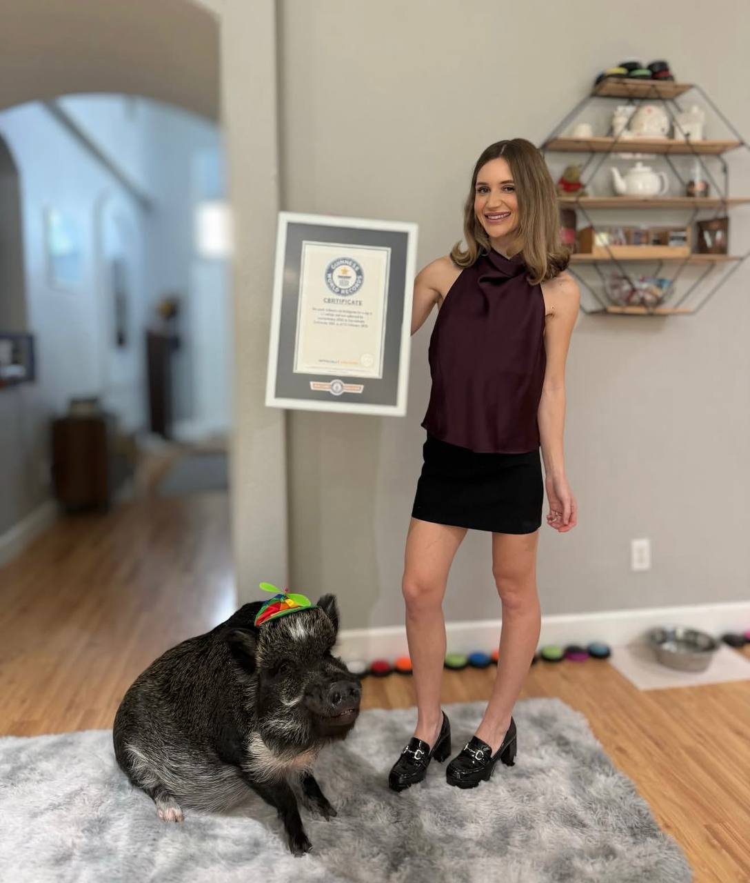 Мини-пиг Мерлин попал в Книгу рекордов Гиннесса за общение с помощью звуковых кнопок Мини-пиг Мерлин попал в Книгу рекордов Гиннесса за общение с помощью звуковых кнопок