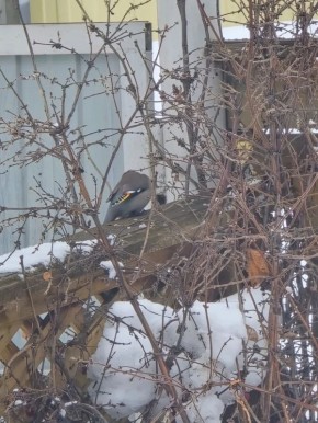 ��� ������� ������������ ������������ ��������� ������������� ������ ������� - ���������� �������������