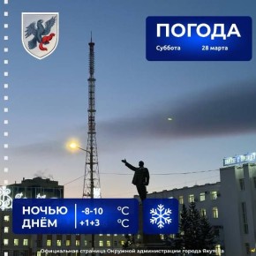 ������� ������ � ������� �� 28 �����