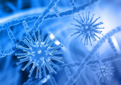 ��� ��������� � ���������� ��������������� ������� � ������������ �����